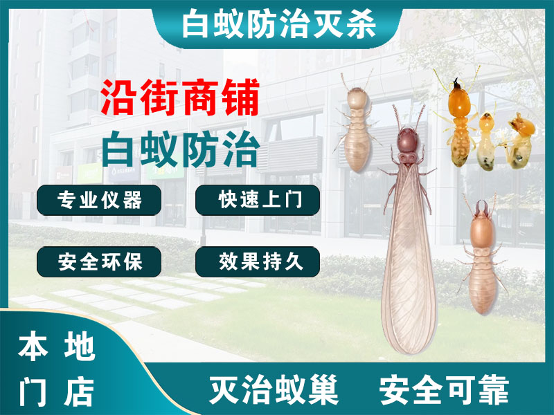 邗江沿街商铺白蚁防治