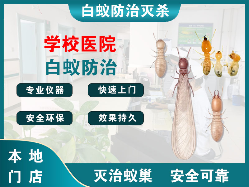 邗江学校医院白蚁防治