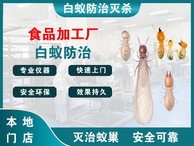 邗江食品加工厂白蚁防治