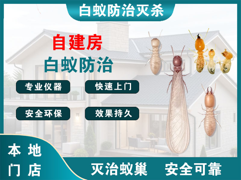 邗江自建房白蚁防治