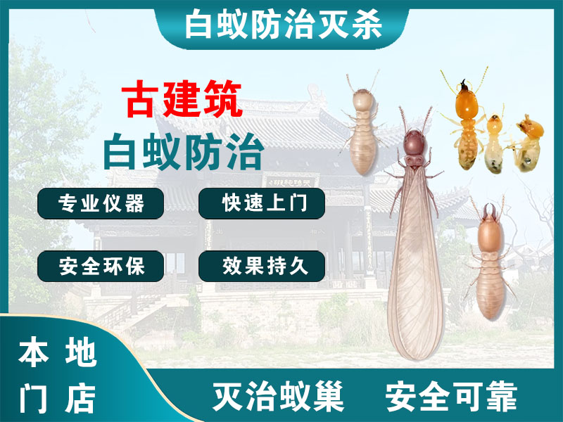 邗江古建筑白蚁防治