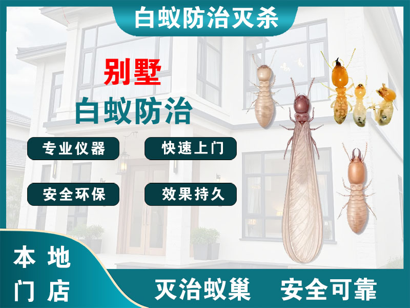 邗江别墅白蚁防治